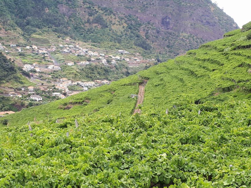 Madeira: Cabo Girão, Wine Tasting, & Serra d'Água Jeep Tour - Serra d’Água by road and mountain track
