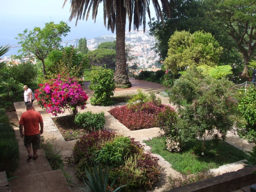 Madeira: Customized 3, 4 or 6-Hour Tour - Choosing between three, four, and six hours