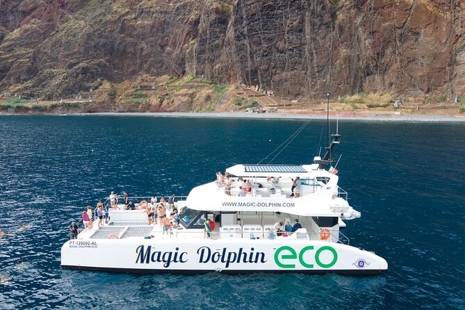 Madeira Dolphin and Whale Watching on a Ecological Catamaran - How the wildlife search works