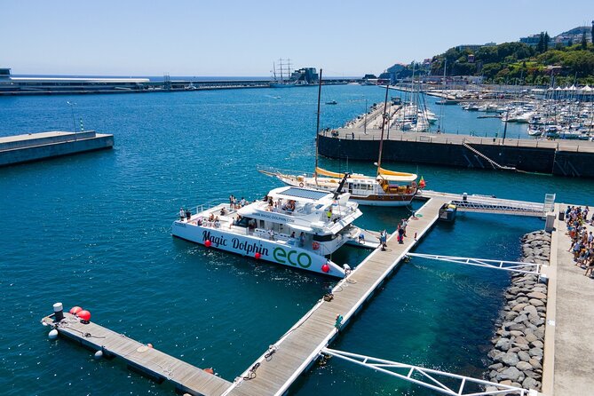 Madeira Dolphin and Whale Watching on a Ecological Catamaran - Cabo Girão and Madeira’s coast on the return