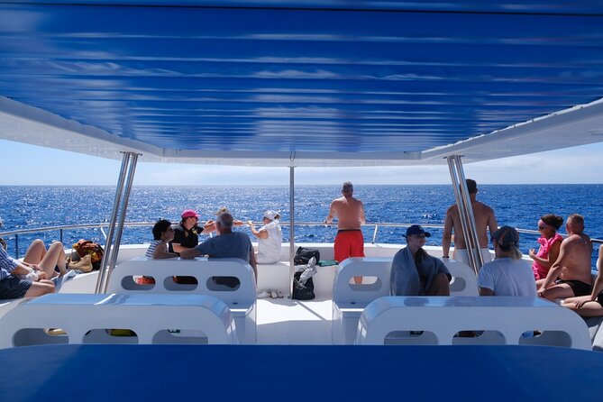 Madeira Dolphin and Whale Watching on a Ecological Catamaran - The real issue: wind, spray, and sea conditions