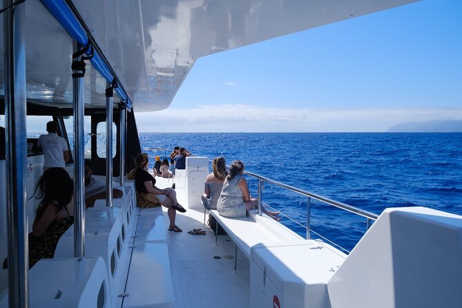 Madeira Dolphin and Whale Watching on a Ecological Catamaran - Who will enjoy this cruise most?
