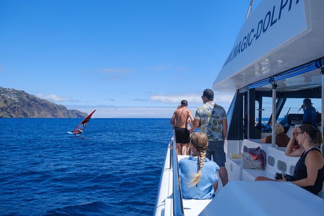 Madeira Dolphin and Whale Watching on a Ecological Catamaran - My verdict on the Madeira dolphin and whale cruise