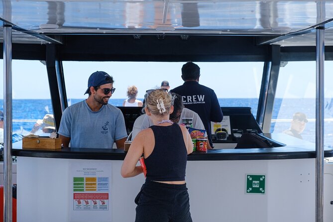 Madeira Dolphin and Whale Watching on a Ecological Catamaran - The guides and the ocean story