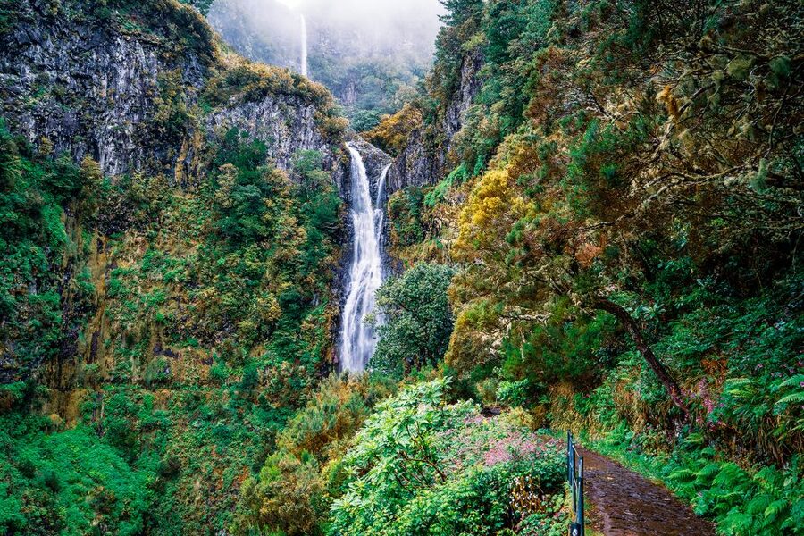 Madeira: Enjoy a Guided Levada Walk in the Rabaçal Valley - Why the Rabaçal Valley walk is worth your day