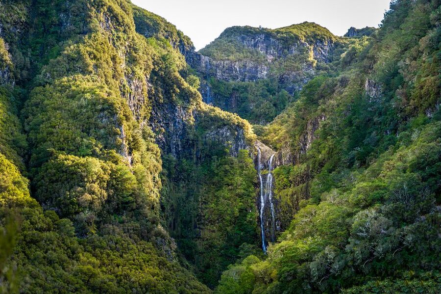 Madeira: Enjoy a Guided Levada Walk in the Rabaçal Valley - Guides, group size, and the human side