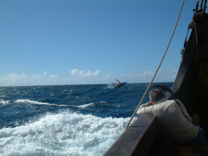 Madeira: Flag Ship Tour aboard Santa Maria de Colombo - The Cabo Girão swim stop
