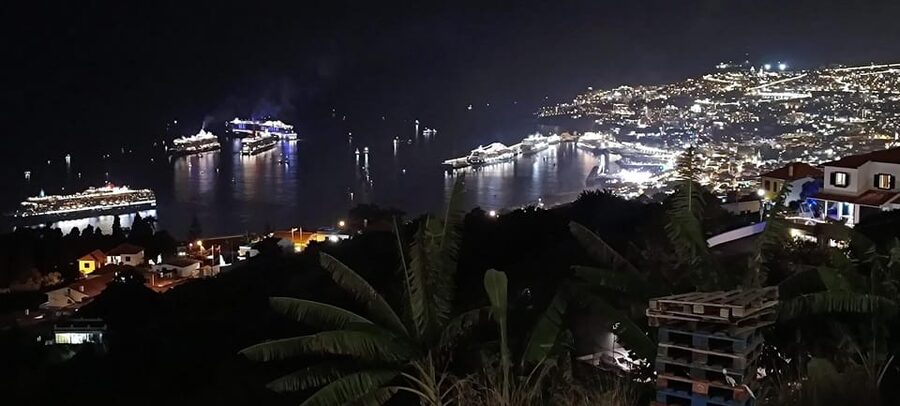 Madeira: Folk Dancing Show and Traditional Local Dinner - Folk songs and dancing during the meal