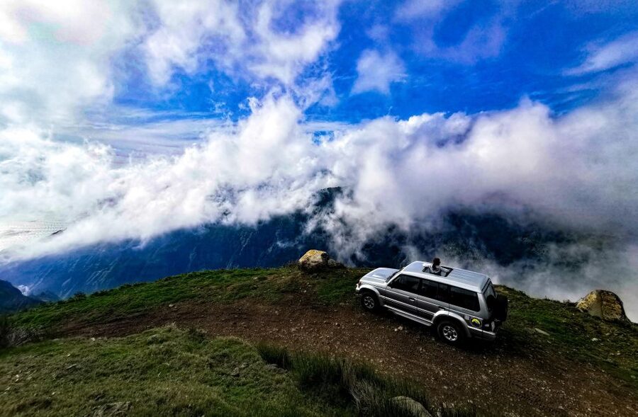 Madeira: Full-Day Jeep Tour, Natural Pools, Seixal & Fanal - Fanal Forest and the old Laurisilva trees