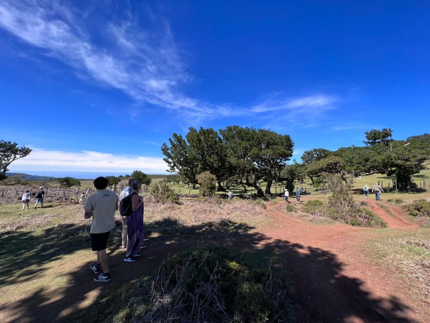 Madeira: Full-Day Jeep Tour with Guide and Pickup - São Vicente and Véu da Noiva: a scenic northward run
