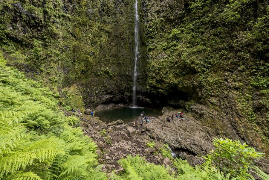 Madeira: Full-Day Laurel Forest Guided Walking Tour - Views over Madeira’s villages