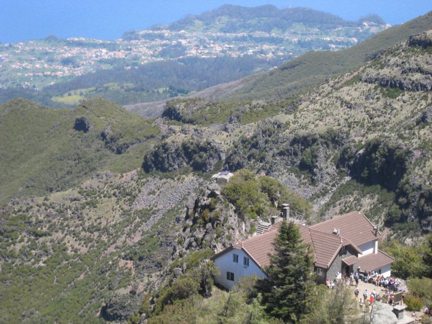 Madeira: Full-Day Pico Ruivo / Achada do Teixeira Walk - Spring is the best season for flowers