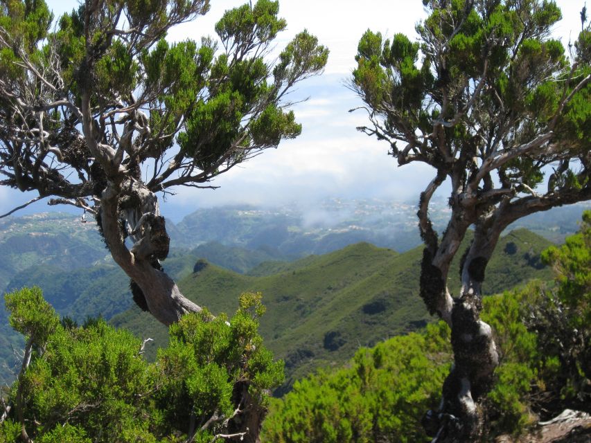 Madeira: Full-Day Pico Ruivo / Achada do Teixeira Walk - Who should book this walk?