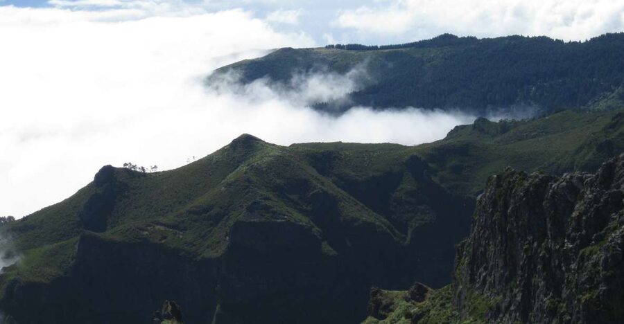 Madeira: Full-Day Pico Ruivo / Achada do Teixeira Walk - The oldest heather forest on Madeira