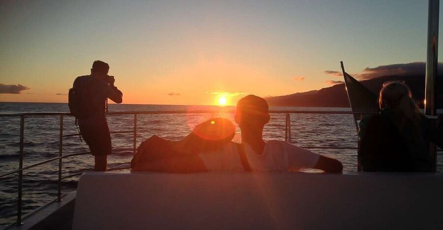 Madeira: Funchal Sunset Tour by Catamaran - Leaving Funchal Marina as the evening cools