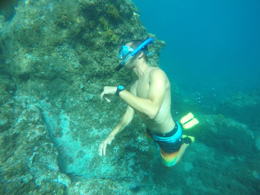 Madeira: Garajau Nature Reserve Kayak and Snorkel Tour - Key points at a glance