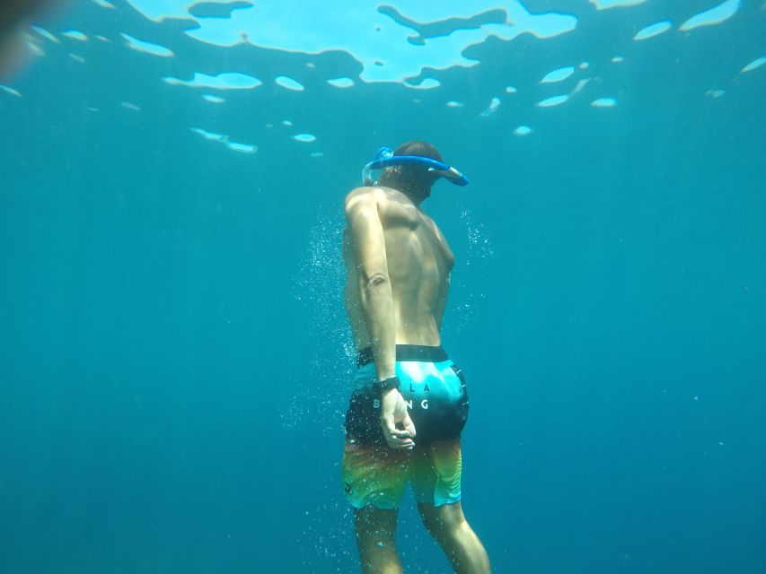 Madeira: Garajau Nature Reserve Kayak and Snorkel Tour - From the Cristiano Ronaldo Statue to the open sea