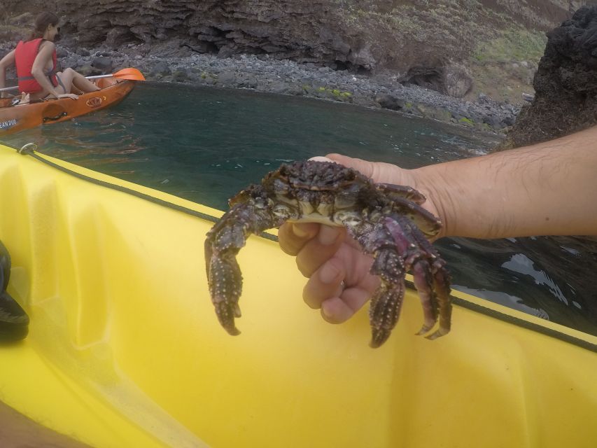 Madeira: Garajau Nature Reserve Kayak and Snorkel Tour - Snorkeling in Garajau Nature Reserve