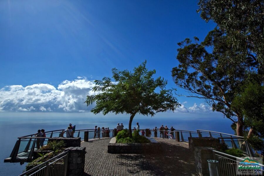 Madeira: Half-Day Nun's Valley and Sea Cliff Tour - Câmara de Lobos, the coastal finish