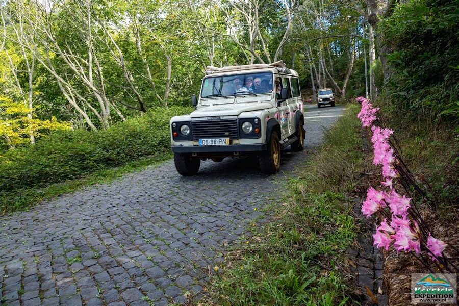 Madeira: Half-Day Nun's Valley and Sea Cliff Tour - The secret stop and the first photo break