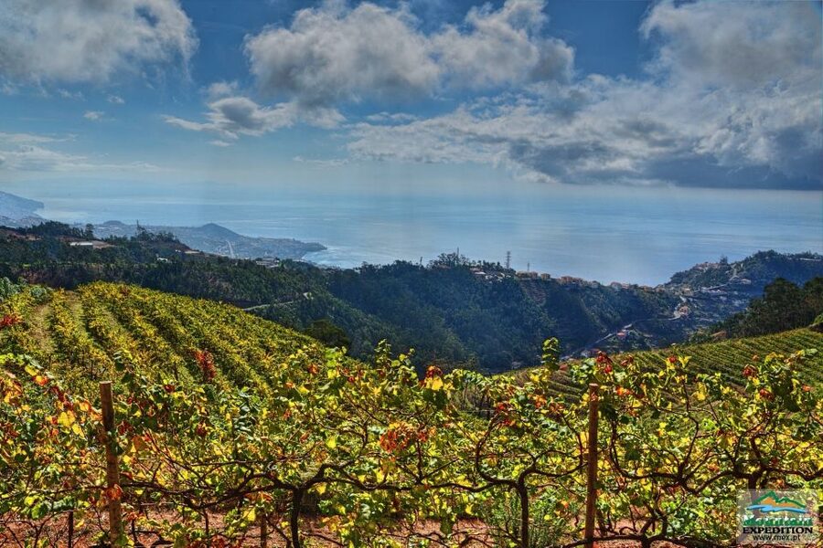 Madeira: Half-Day Nun's Valley and Sea Cliff Tour - Jardim da Serra and the rough-track ride