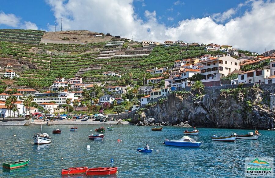 Madeira: Half-Day Nun's Valley and Sea Cliff Tour - The local bar stop
