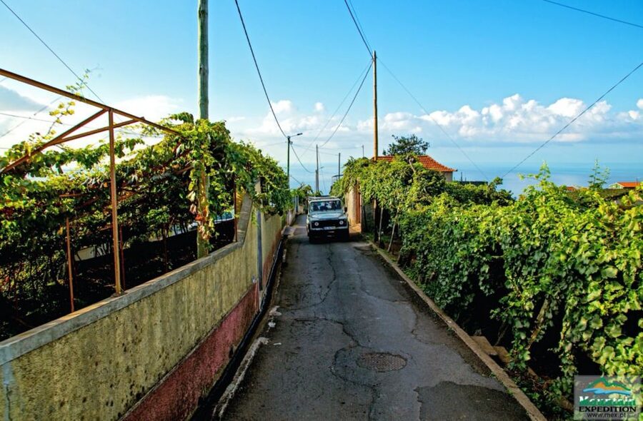 Madeira: Half-Day Nun's Valley and Sea Cliff Tour - From Funchal to Estreito de Câmara de Lobos