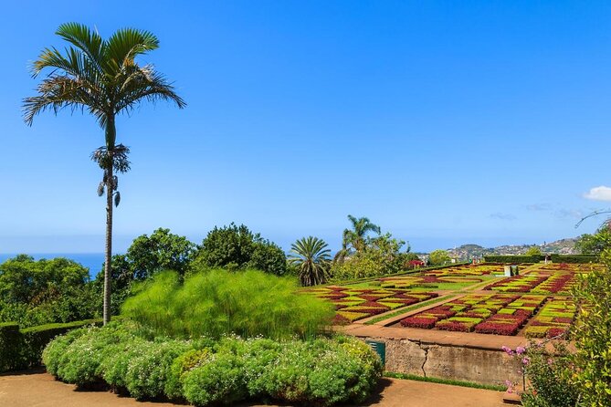 Madeira Highlights: Toboggan, Garden & Cable Car (All-Inclusive) - Key points at a glance