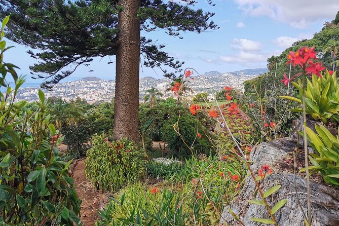 Madeira Highlights: Toboggan, Garden & Cable Car (All-Inclusive) - How the private vehicle changes the day