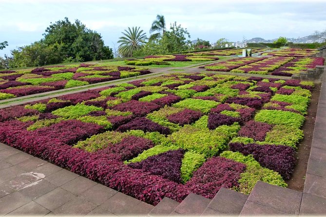 Madeira Highlights: Toboggan, Garden & Cable Car (All-Inclusive) - My take on the overall experience