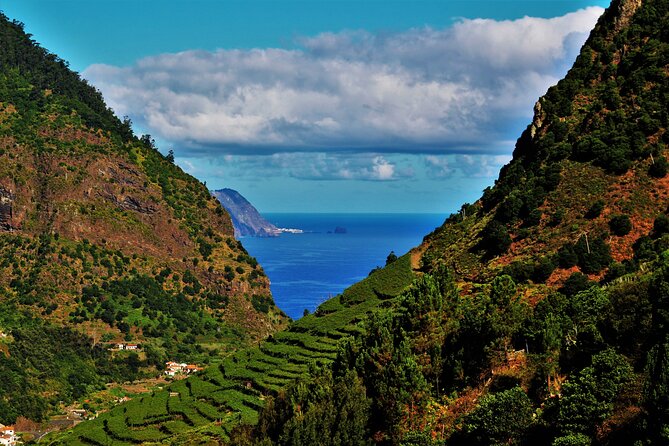 Madeira Island Private Wine Full-day Tour in all terrain vehicle - Quinta do Barbusano and the vineyards of São Vicente