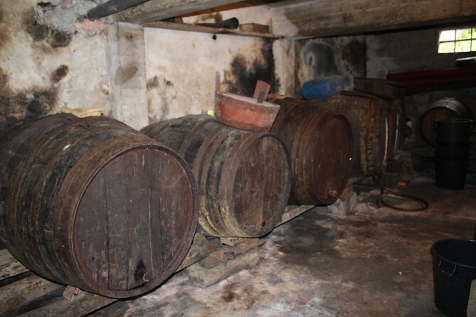 Madeira Island Private Wine Full-day Tour in all terrain vehicle - Estreito de Câmara de Lobos and old vineyard roads