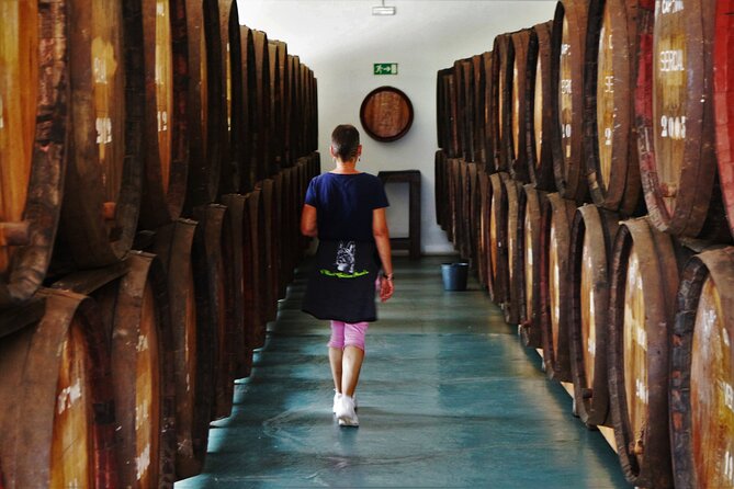 Madeira Island Private Wine Full-day Tour in all terrain vehicle - Henriques & Henriques and the fortified wine lesson
