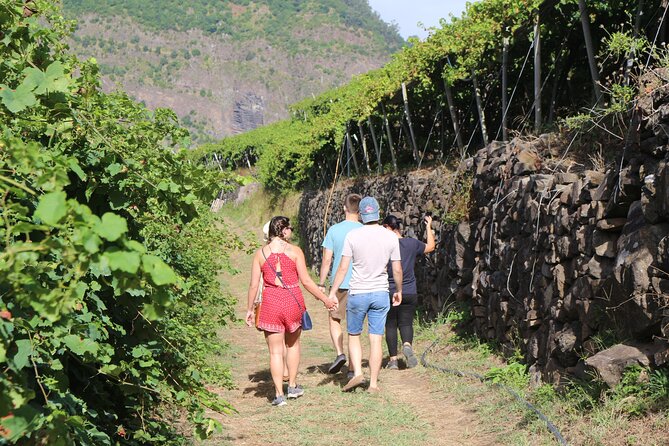 Madeira Island Private Wine Full-day Tour in all terrain vehicle - Câmara de Lobos and the final coastal stop