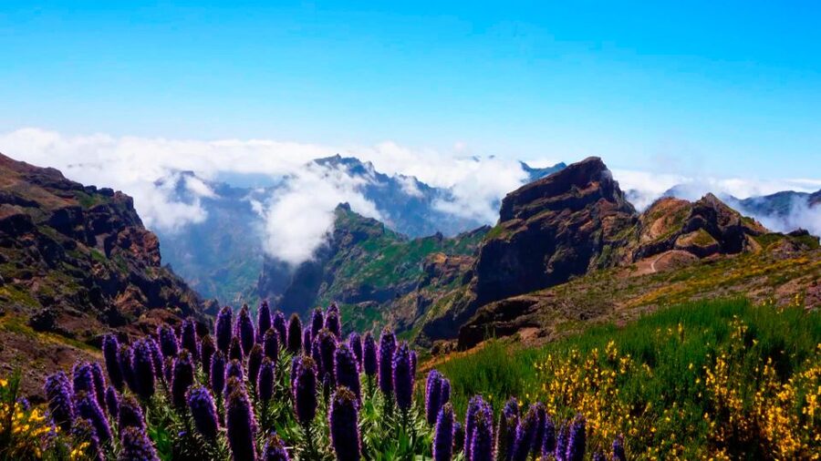 Madeira: Jeep tour Pico Areeiro, Santa Cruz and Cristo Rei - The off-road ride at Santo da Serra