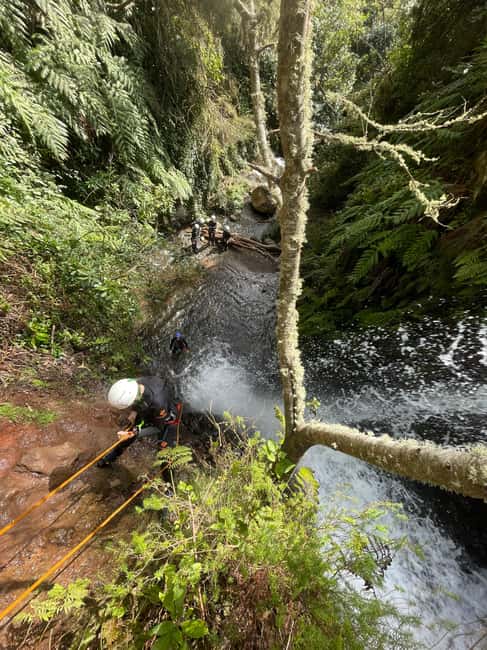 Madeira: Level-1 Canyoning Adventure - Who should book this Madeira adventure?