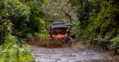 Off-Road Buggy Adventure Through Laurissilva Forest