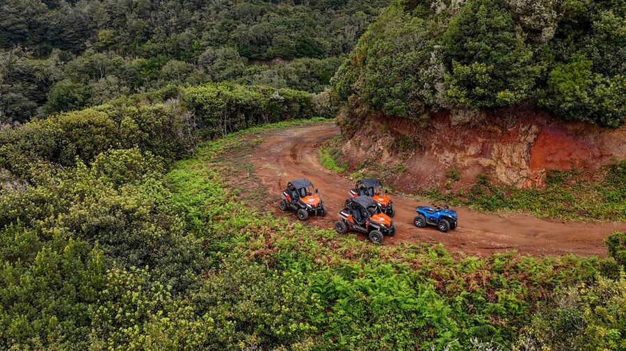 Madeira: Off-Road Buggy Adventure Through Laurissilva Forest - Safety equipment and preparation