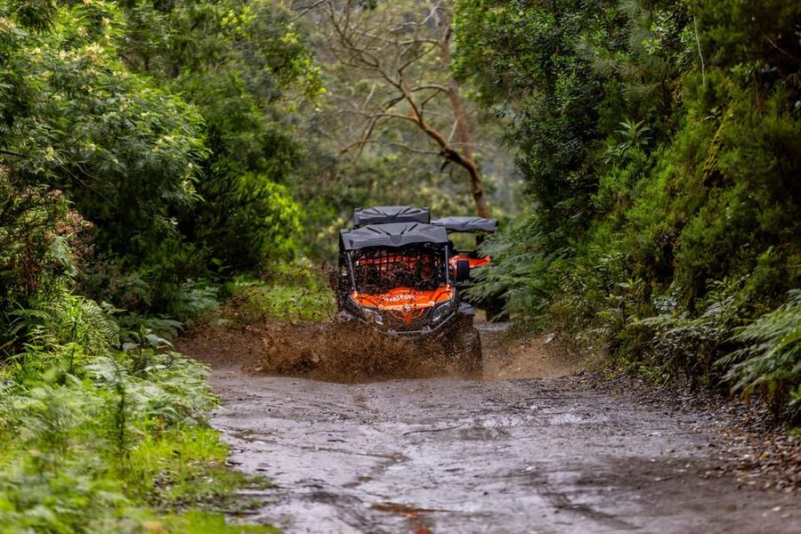 Madeira: Off-Road Buggy Adventure Through Laurissilva Forest - How much value do you get for $147?