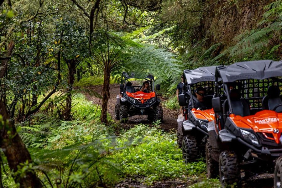 Madeira: Off-Road Buggy Adventure Through Laurissilva Forest - Who will enjoy this Madeira activity most?