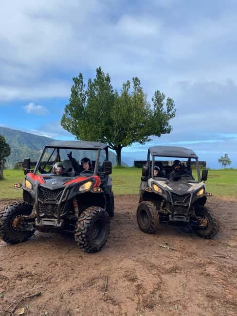 Madeira: Off-Road Buggy Driving Experience - Key points to know before you book