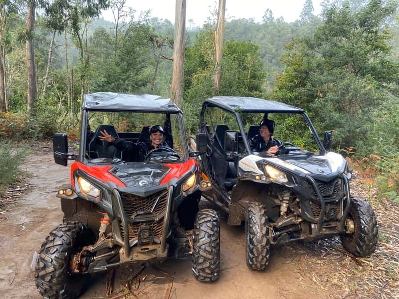 Madeira: Off-Road Buggy Driving Experience - Should you book the Madeira off-road buggy ride?