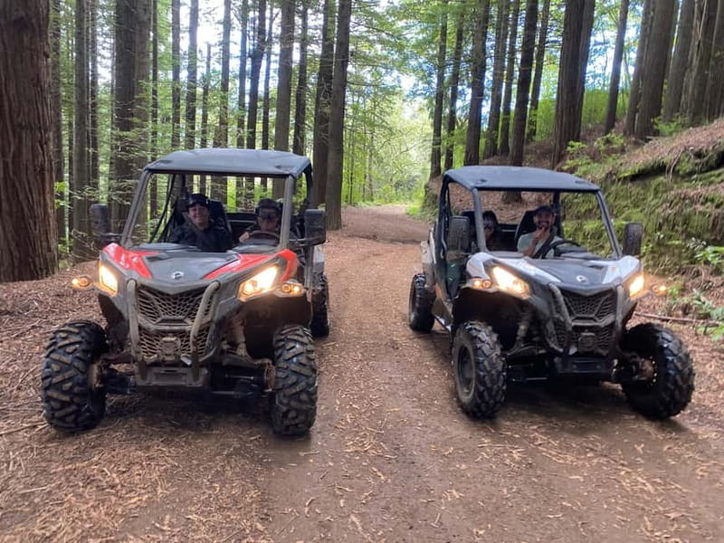 Madeira: Off-Road Buggy Driving Experience - What makes this Madeira buggy tour different