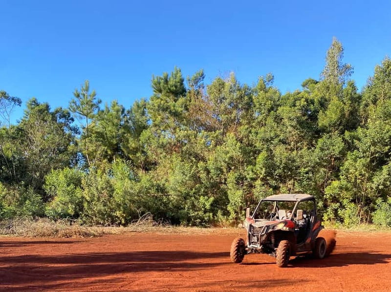 Madeira: Off-Road Buggy Driving Experience - Riding through Madeira’s Laurisilva