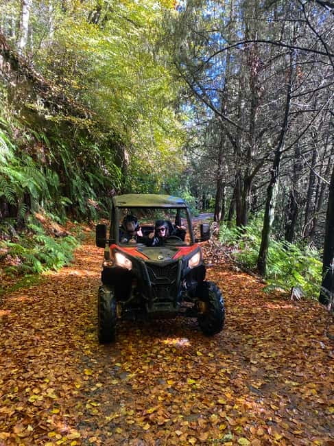 Madeira: Off-Road Buggy Driving Experience - Mountain viewpoints and photo stops