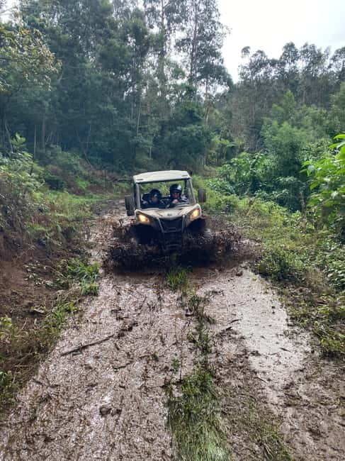 Madeira: Off-Road Buggy Driving Experience - The value of two hours and $171 per group