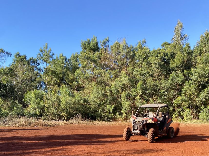 Madeira: Off-Road Buggy Driving Experience - Who should book this experience