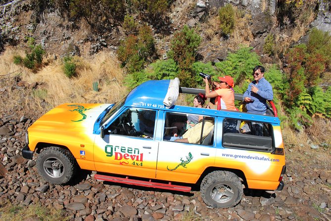 Madeira Peaks - Open 4X4 Full-Day Tour - Ribeiro Frio offers forest air and a short walk