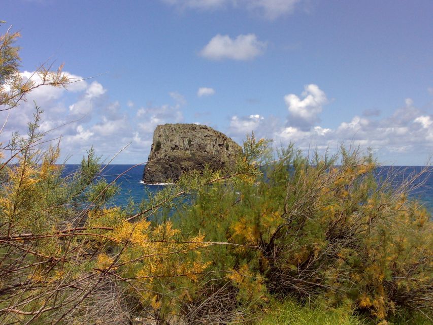 Madeira: Pico do Arieiro & Laurissilva Forest - East tour - Pickup from Funchal and the first mountain views