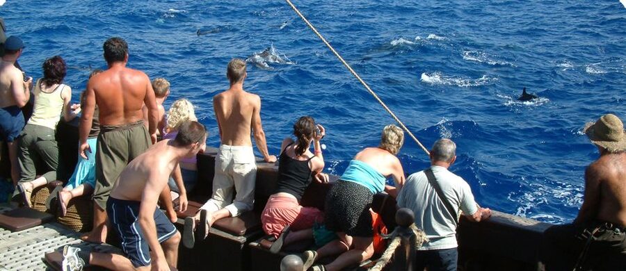 Madeira Pirate Ship: 3-Hour Boat Trip - Boarding the Santa Maria de Colombo in Funchal